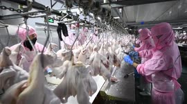 Workers Work At A Broiler Processing Plant In Zaozhuang, China