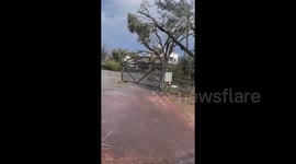 Significant damage after tornado batters Alabama, US