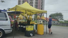 Store in Malaysia sells massive 14-inch-long bananas