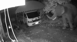 Wild elephant caught on camera walking over to house to steal a single banana