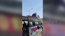 Traffic cop rescues pigeon stuck on electric cable in northern India