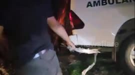 Ambulance Car Carrying Body Hits Electric Pole