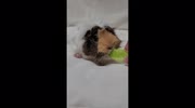 temp