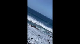 Hookipa look out swell