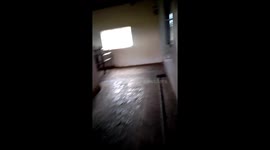 Dairy Farm milking Time at Elim Village in the Western Cape Province South Africa