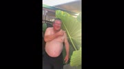 temp