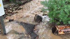 Severe Weather: Rain and Flood Damage in California