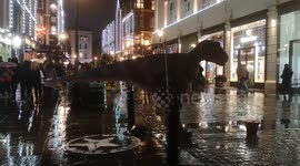 Amazing street entertainer cosplays as a full-scale dinosaur in Covent Garden