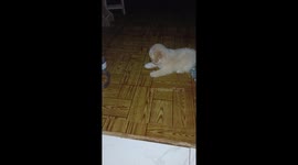 Nikkie was shouting against a worm beside her and completely enjoying herself.