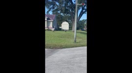 Woman catches happy Sandhill Cranes doing their famous mating dance