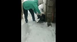 Dog rescued after being abandoned in snow in Russian city