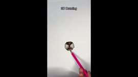 Child's cat 'drawing' is so realistic it comes to life