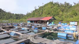 Grouper Cultivation in West Sumatra