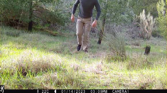 Camera trap reveals cute animals living in a small Spanish woodland