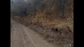 The video was filmed near Almaty in the mountains, on the beautiful slopes of which there are many apple trees, cherries and other trees.