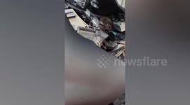 Mechanic finds motorcycle fault to be a MOUSE that chewed through the wires