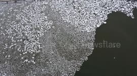 Pancake Ice Stock Footage