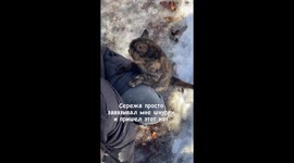 The clingy cat rub against the stranger's head.