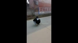 Man uses cunning trick to find lost dog successfully