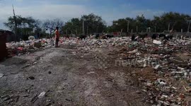 goats eat paper and all