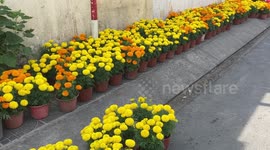 Crowded food market in Vietnam. People preparing for the New Year celebration (TET)