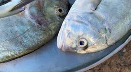 Crowded food market in Vietnam. People preparing for the New Year celebration (TET)
