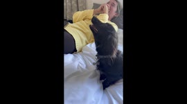 Sausage dog goes into sneezing frenzy