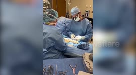 Surgeon reveals unique things he's removed from people's hands including fishhooks and bullets