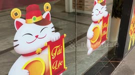 It's Lunar New Year in Vietnam where people are preparing to celebrate the Year of the Cat