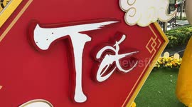 It's Lunar New Year in Vietnam where people are preparing to celebrate the Year of the Cat