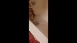 Starting bathtub and stopping it up to begin filling leading into it never overflowing