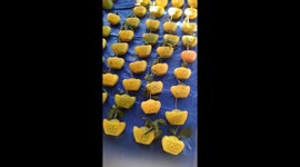 Vietnamese farmers grow pomelos into ancient gold ingots for Lunar New Year