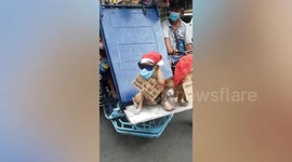 Pet dogs wear face masks while riding tuktuk during Chinese New Year celebration