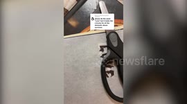 Woman covers herself with 100 self-drawn tattoos at the request of strangers