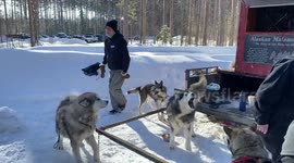 Mush Larose Club in Ontario Canada is where weekend mushers get together and run their sleddog teams through beautiful Larose forest
