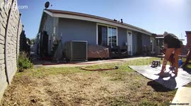 Washing rescue dog that we are sitting for 6 months while my nephew (dogs owner) is in the navy deployed, I’m 33 have never had a dog and am bathing a dog for the first time ever, with warm water in buckets and the hose he flips out and knocks over the bu