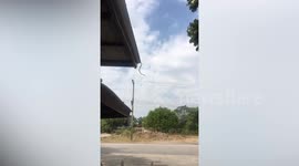 Gymnastic snake leaps from roof hitting ground with a thud but slithers away