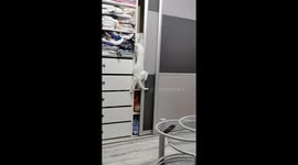 The white cat climbs on the closet and is incredibly good at it and wants to hide.
