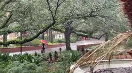 Flooded streets of Tallahassee, FL, USA