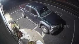 Man caught stealing life-sized gorilla statue from shop in Maryland