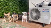 temp
