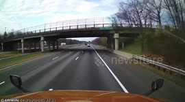 WTF Moment: Duck Collides With the Windshield of an Oncoming Car