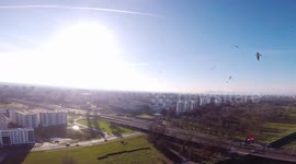 General view of drone sharing airspace with seagulls in Zagreb, Croatia
