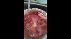 Th most famous cuisine from Bataknese  Toba Land, NorthSumatera