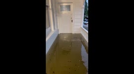 House is completely covered in water during deadly flooding in Auckland, New Zealand