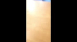 My father smelled the aroma of cat litter box and blamed me for it