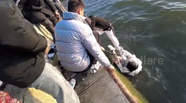 Kind-hearted tourists rescue girl drowning in lake in China