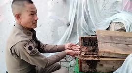 Brave policeman removes bee nests barehanded