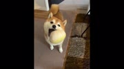 temp