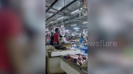 Hot-tempered vendors hurl fish at each other in frenzied market fight